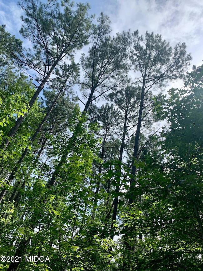 0 Watson Rd unit M161519, Forsyth, GA 31029 - photo 7