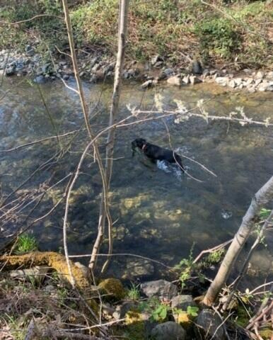 creek 1 (Copy)