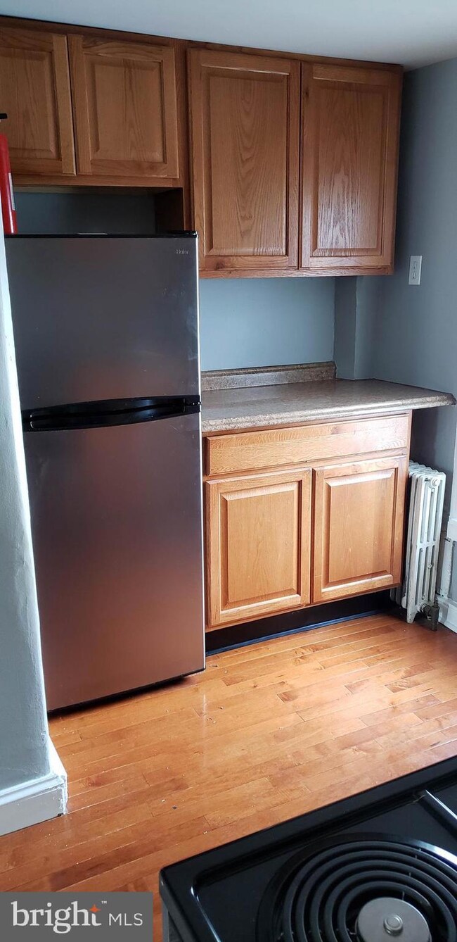 4329 Main St unit 3, Philadelphia, PA 19127 - photo 3