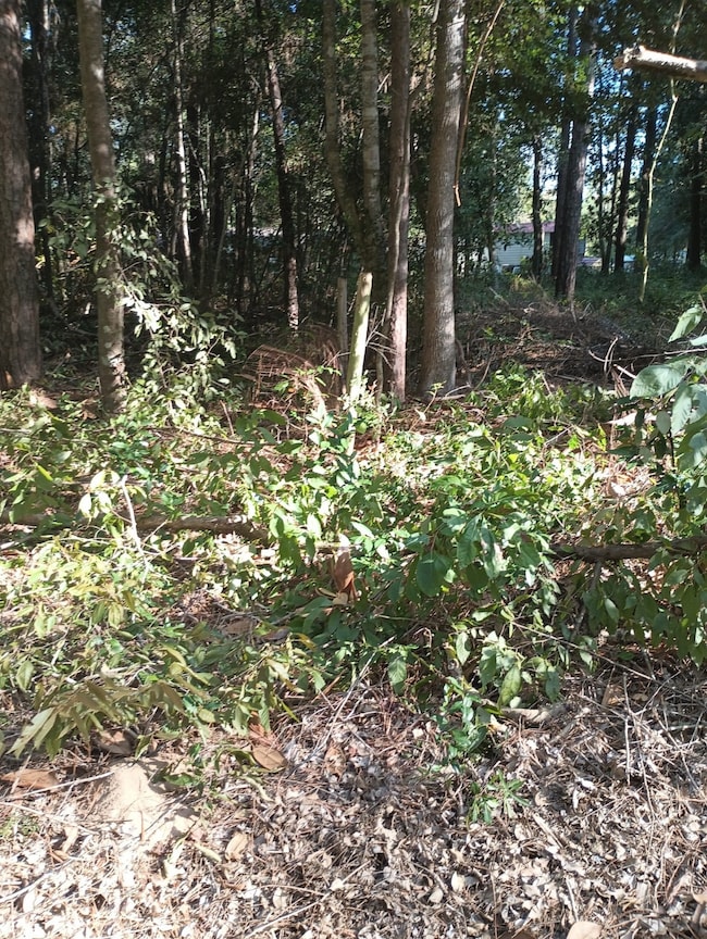 0 Wickford and Little John unit 86445316, Ivanhoe, TX 75447 - photo 7