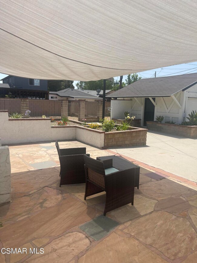 Backyard 4