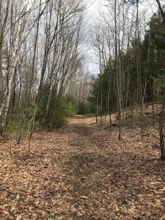 0 Forest Lake Rd unit 4897805, Winchester, NH 03470 - photo 6