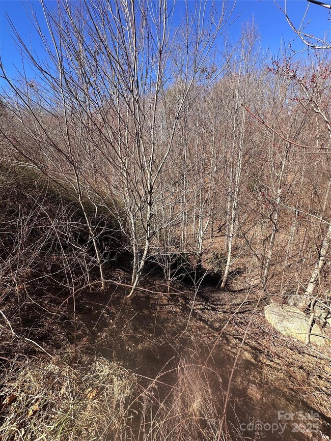 0 Winding Ridge unit 158 CAR4230713, Lake Lure, NC 28746 - photo 6