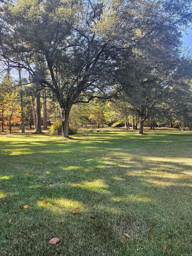 212 Young Rd, Nashville, AR 71852 - photo 4