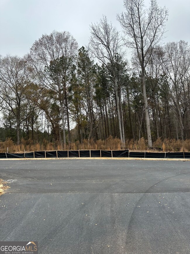 109 Edmondson Way, Stockbridge, GA 30214 - photo 7