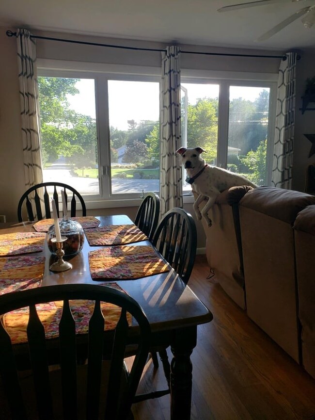 100 Lowell St, Rochester, NH 03867 - photo 5