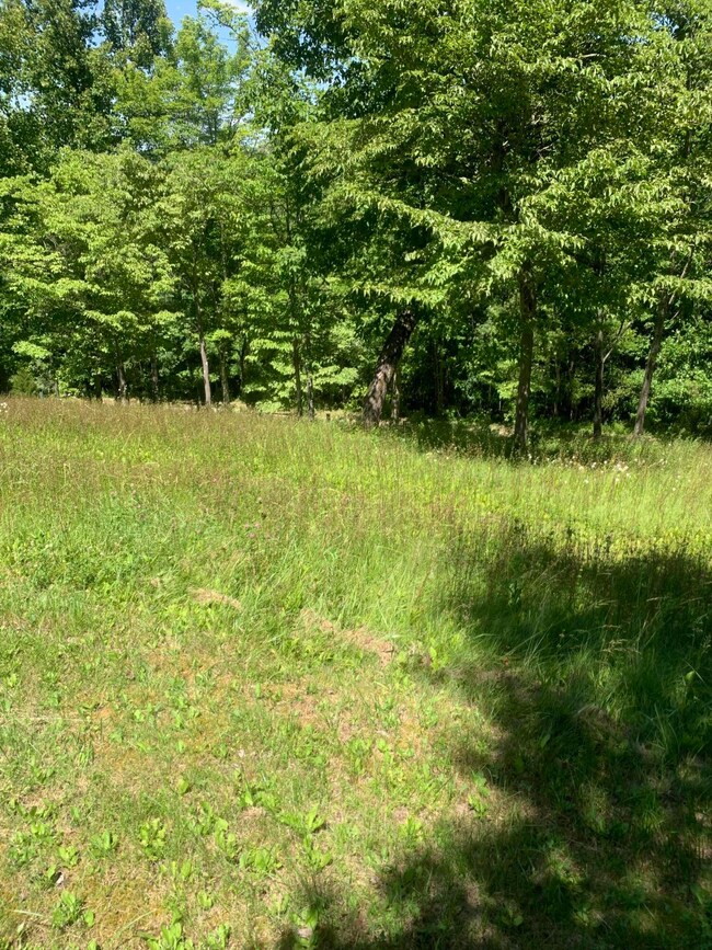 9999 Big Barn Rd, Tyner, KY 40486 - photo 4