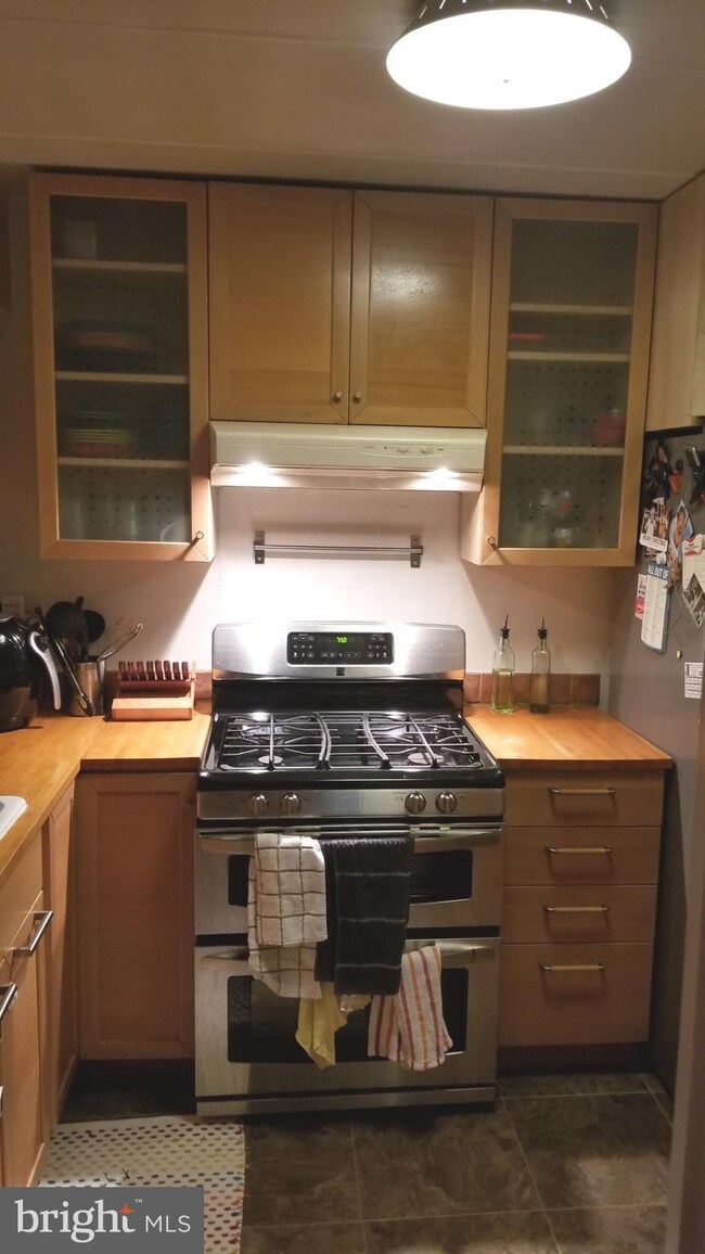 2636 Fort Farnsworth Rd unit 124, Alexandria, VA 22303 - photo 5