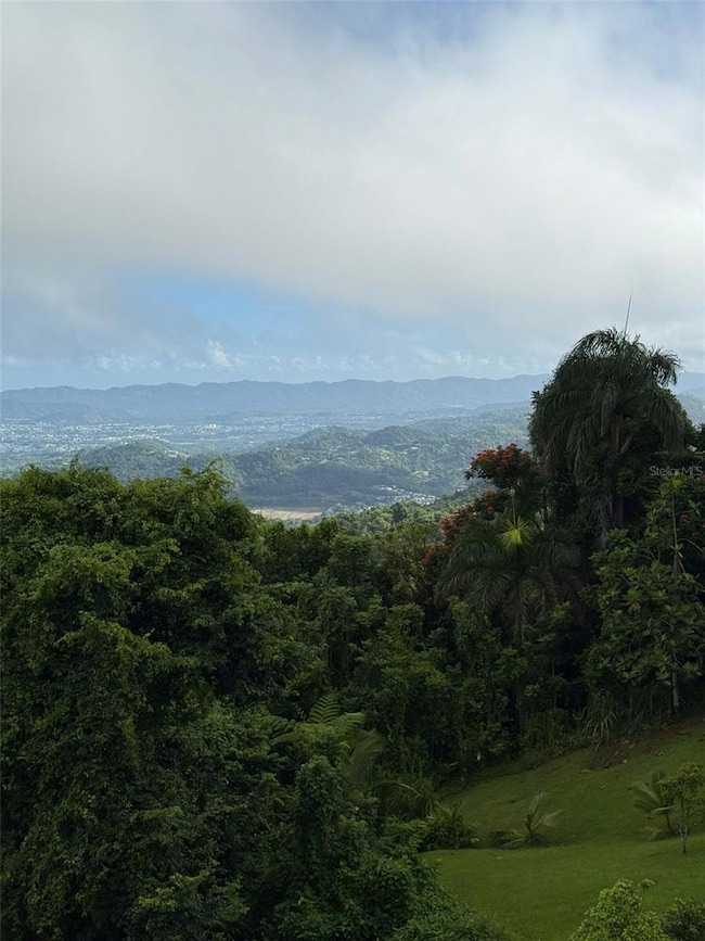 Borinquen Caguas Pr 763, Caguas, PR 00725 - photo 5