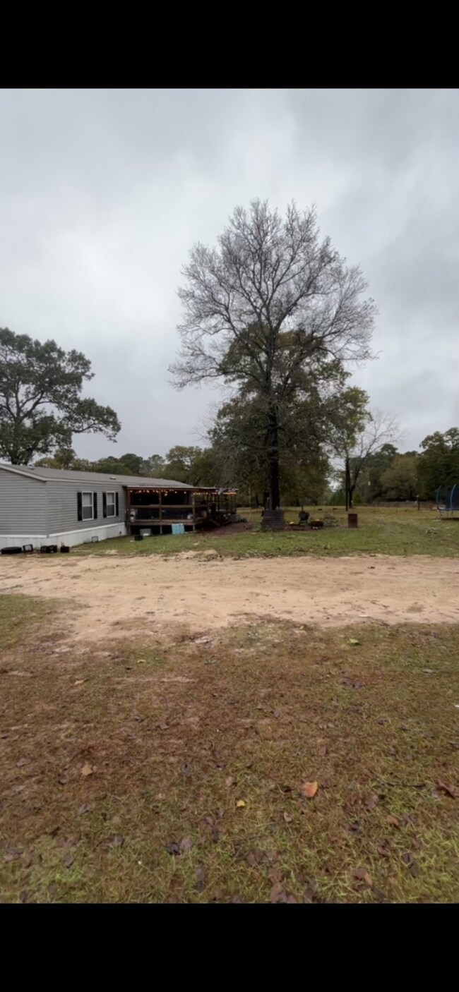 305 Thomas Ln, Trinity, TX 75862 - photo 7