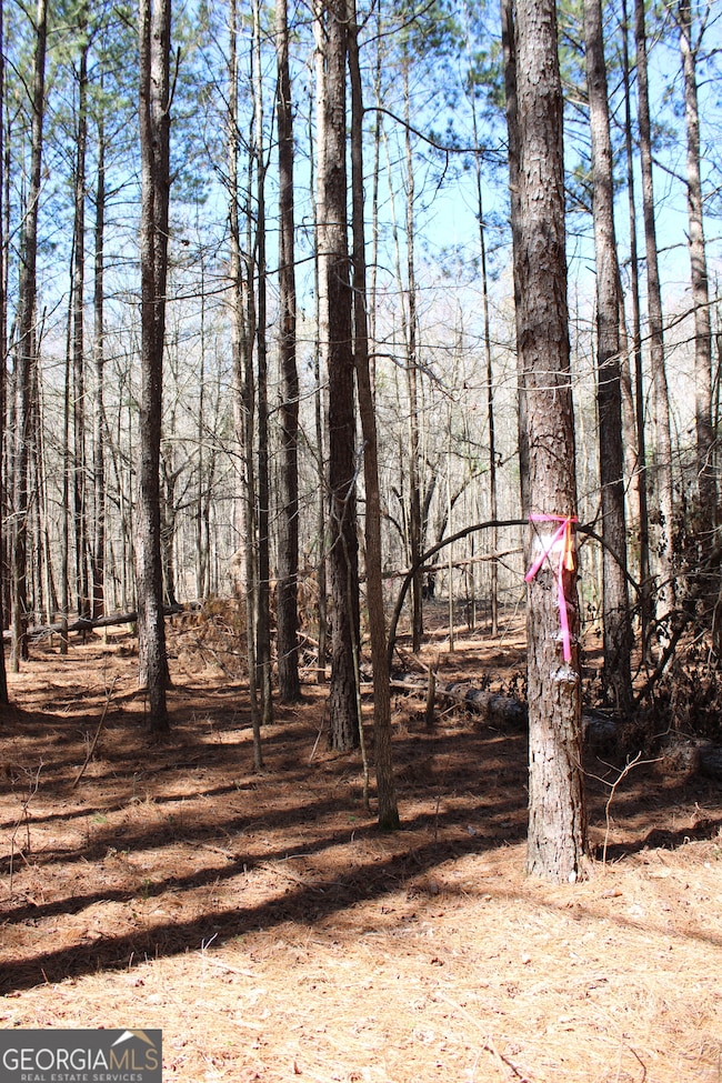 0 Jackson Gin Rd unit 10469996, Harrison, GA 31035 - photo 4