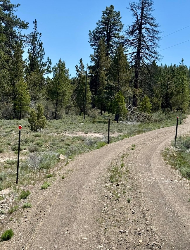 89384 Oregon 140, Lakeview, OR 97630 - photo 4