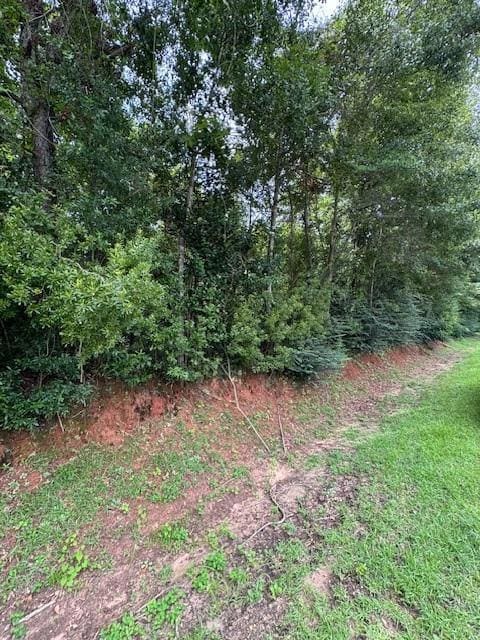 3919 Firetower Rd, Semmes, AL 36575 - photo 4