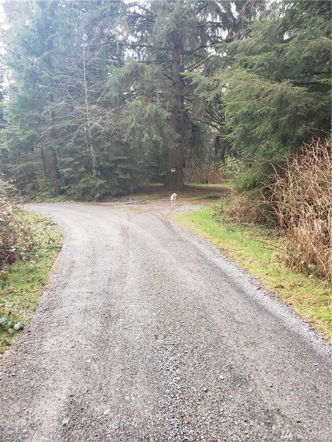 20226 251st St NE, Arlington, WA 98223 - photo 3