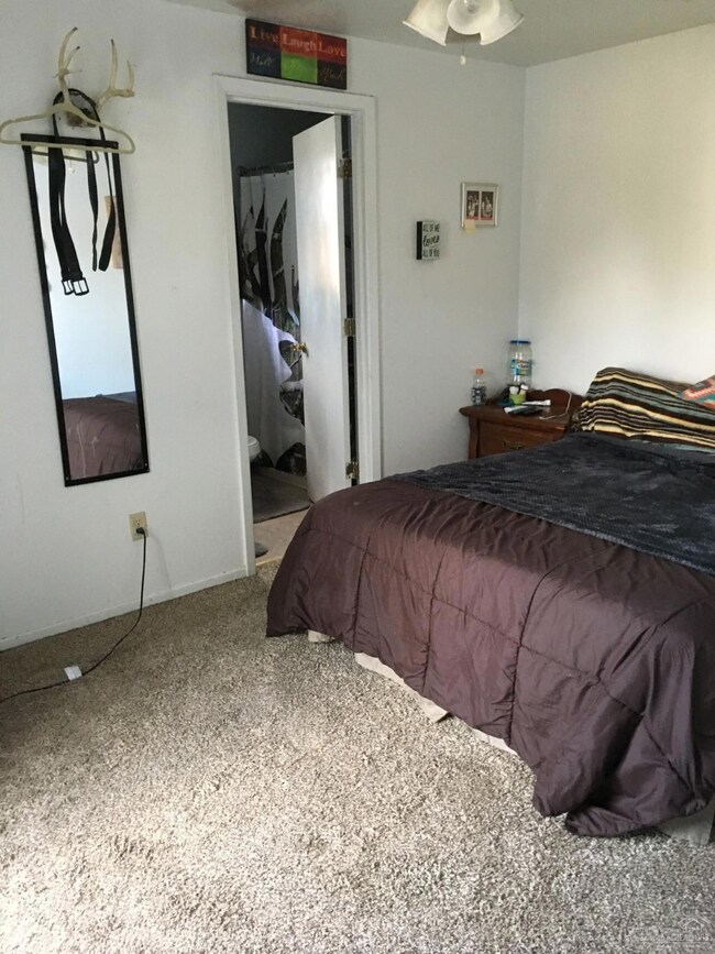 Additional Photo