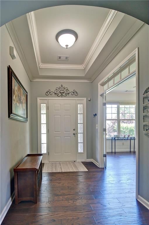 Foyer featuring a raised ceiling, plenty of natura