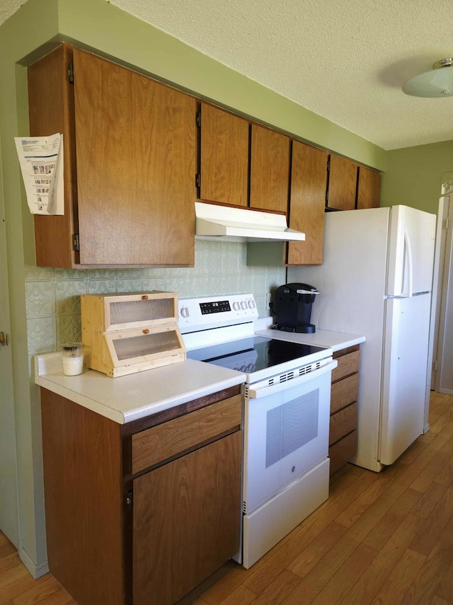 13919 State Highway 32 SE, Red Lake Falls, MN 56750 - photo 6