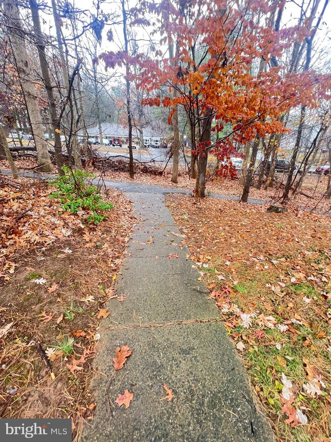 10230 Roberts Common Ln, Burke, VA 22015 - photo 3