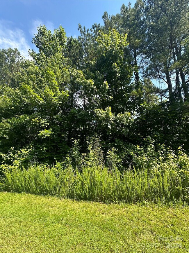 5135 Star Magnolia Ct, Clover, SC 29710 - photo 3