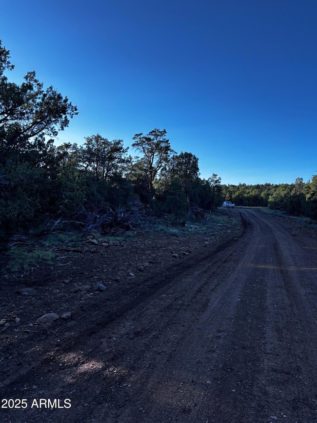 0 N Soaring Hawk Rd unit 498, Seligman, AZ 86337 - photo 3