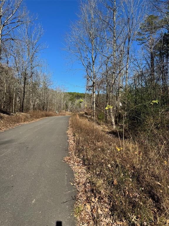 158 Western Maple Trail, Broken Bow, OK 74728 - photo 3