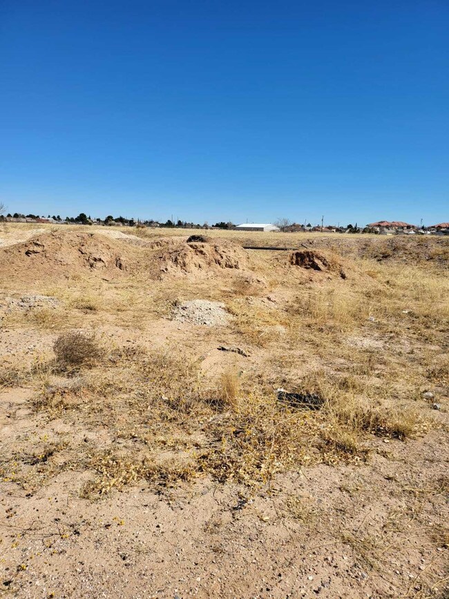 PHOTO-2022-03-16-16-38-12 (3)