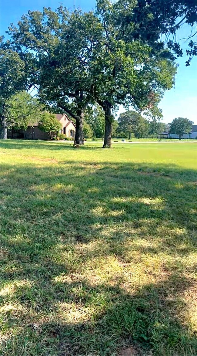 Lot 39C Pronghorn Dr, Gordonville, TX 76245 - photo 2