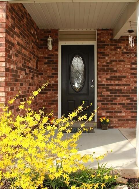 3 Mileva Ct, Farmington, MO 63640 - photo 3