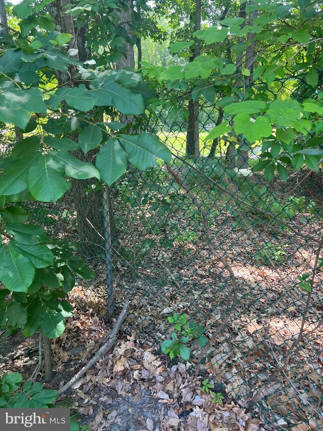 6 Mason Ct, Lindenwold, NJ 08021 - photo 5