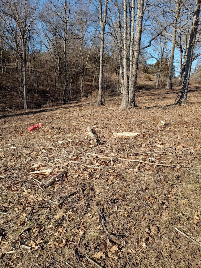 5631 Gest Rd, Defoe, KY 40057 - photo 3