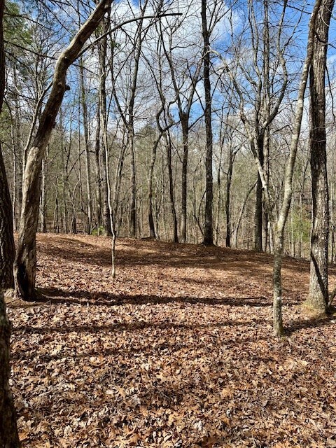 Lot 7 Whitleys Cove, Murphy, MD 20906 - photo 5