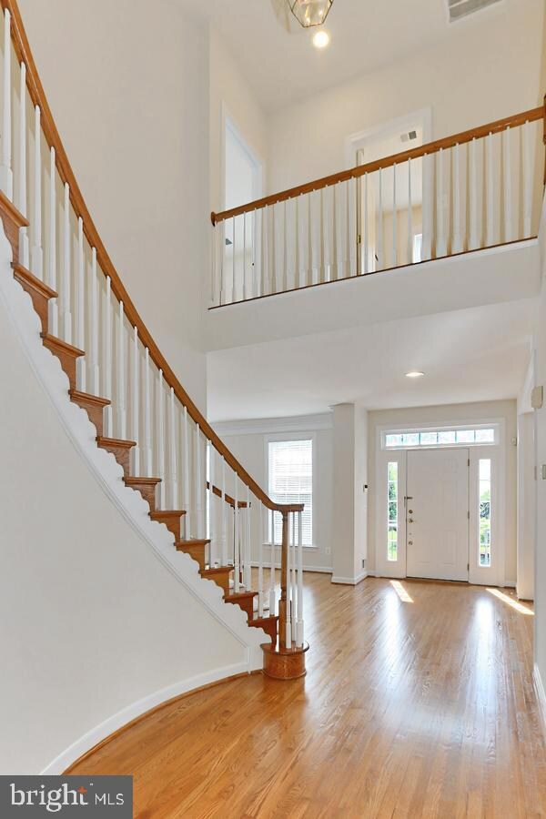 13288 Scotch Run Ct, Centreville, VA 20120 - photo 6