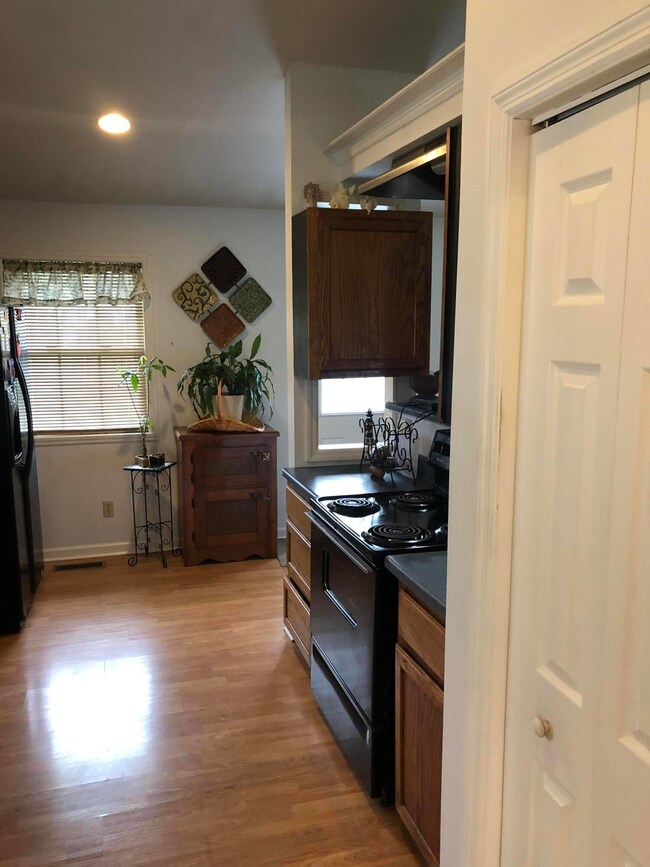 1155 Snowden Terrace, Johnson City, TN 37601 - photo 7