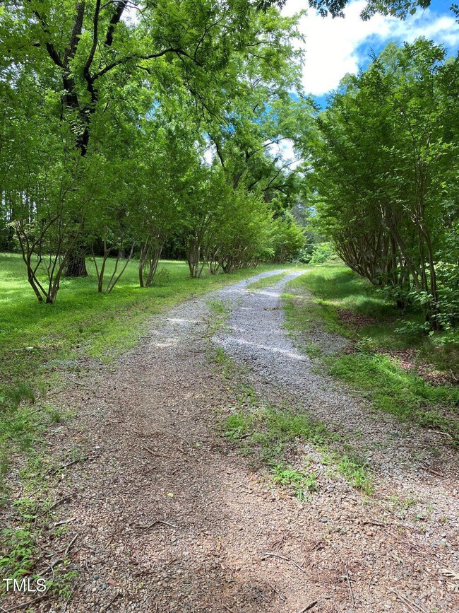 Driveway