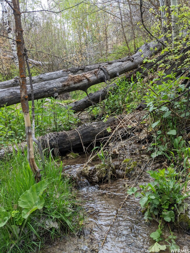 1 Archies Hideaway, Fairview, UT 84629 - photo 5
