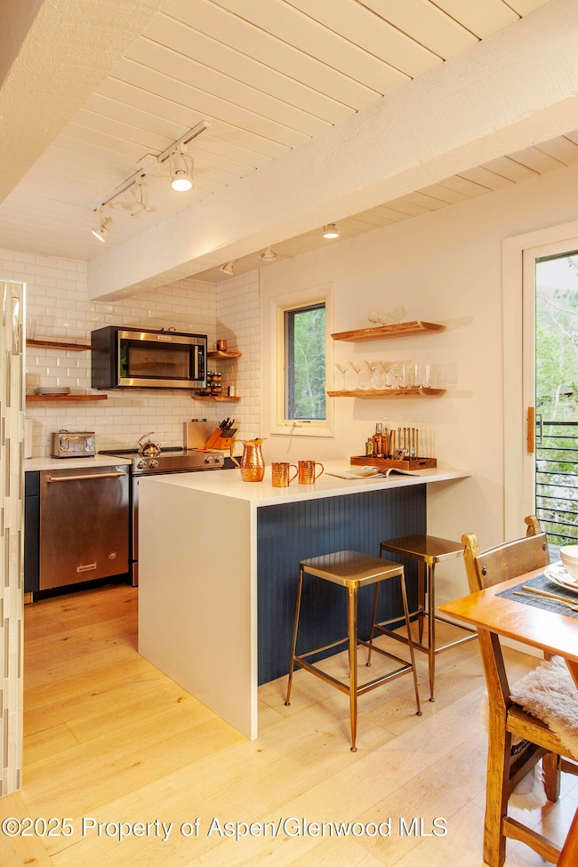 1039 E Cooper Ave unit 16A, Aspen, CO 81611 - photo 7
