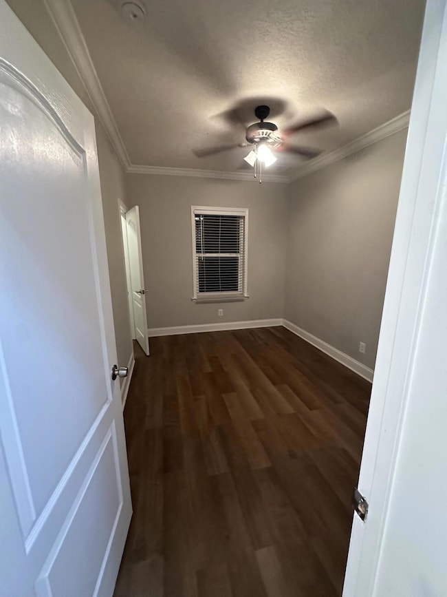 30964 Nathalie Rd, Big Pine Key, FL 33043 - photo 5