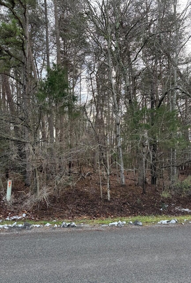 Lot 5 Highland Lake Rd, Union Hall, VA 24176 - photo 4