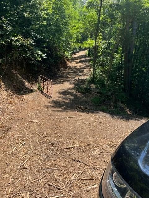 Driveway Gate