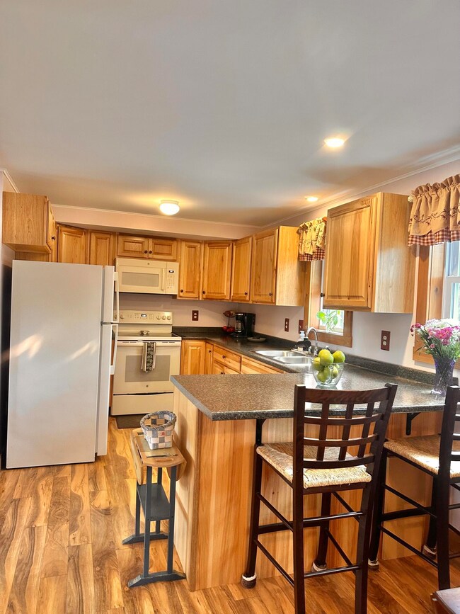 53 Branch Brook Ln, Newfield, ME 04095 - photo 7