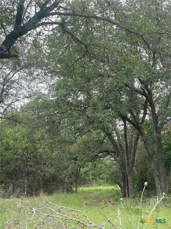 2887 Cr 255 - Family Compound, Georgetown, TX 78633 - photo 6