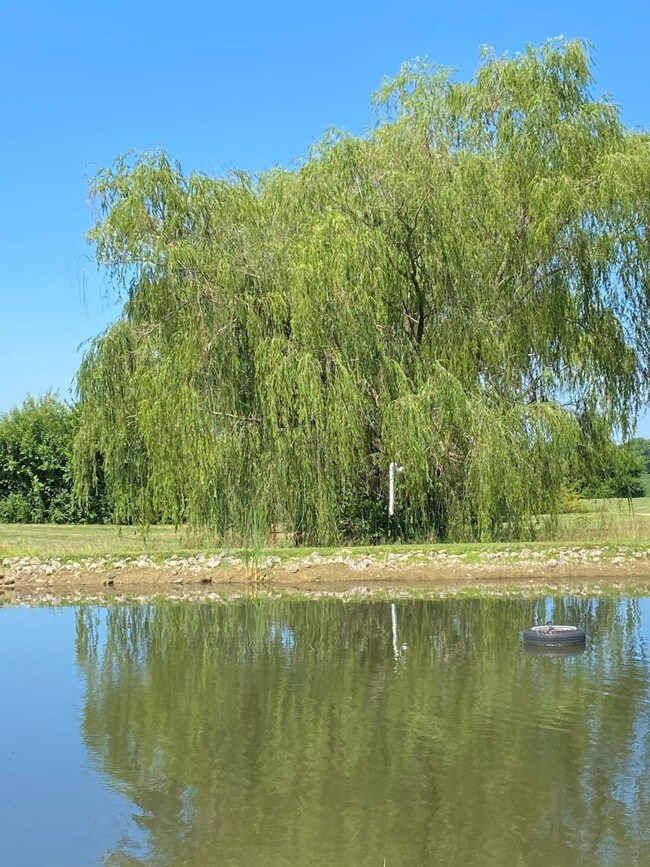 6480 Hitler Road 2, Circleville, OH 43113 - photo 6