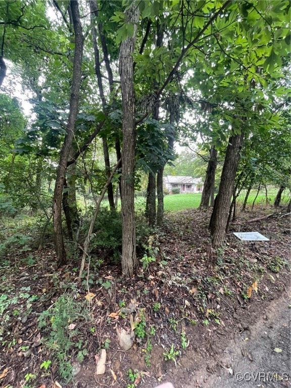 View of local wilderness