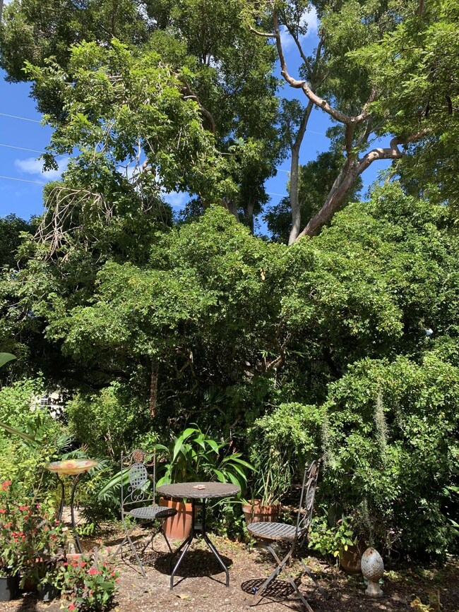 2300 Staples Ave, Key West, FL 33040 - photo 6