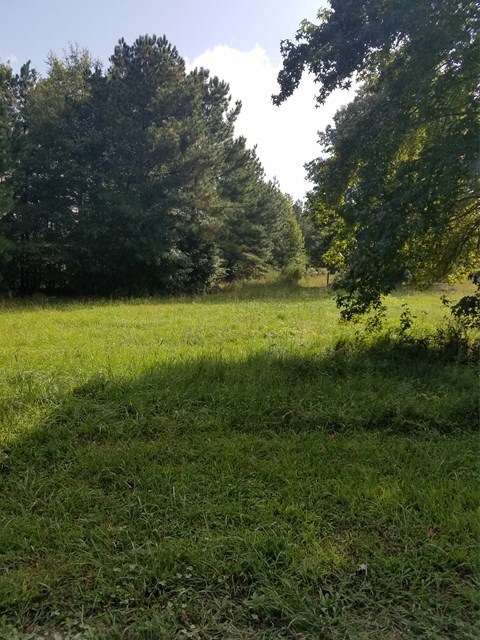 146 Deep Creek Point, Roanoke Rapids, NC 27870 - photo 6