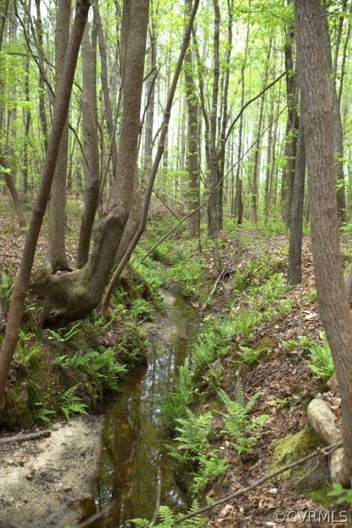 View of mother earth's splendor featuring a water