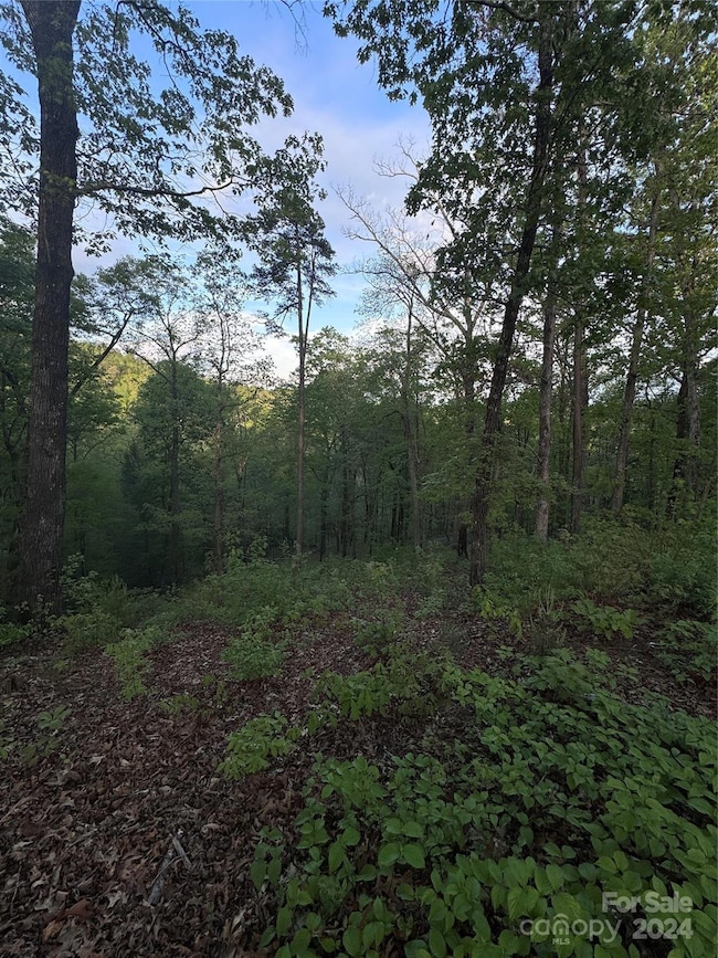 0 Willow Top Ln unit 315 CAR4131489, Lake Lure, NC 28746 - photo 6