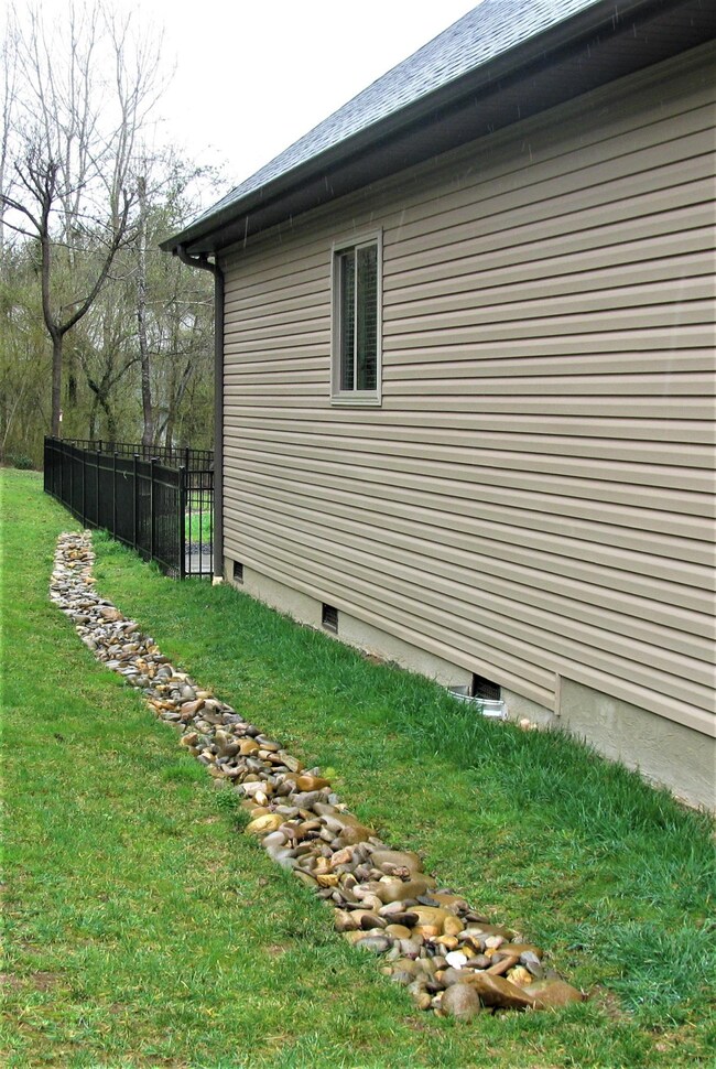 Mingo side yard
