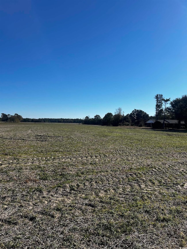 2292 Nichols Hwy, Aynor, SC 29511 - photo 4