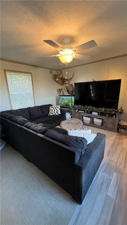 221 Reston Rd, Imperial, PA 15126 - photo 6